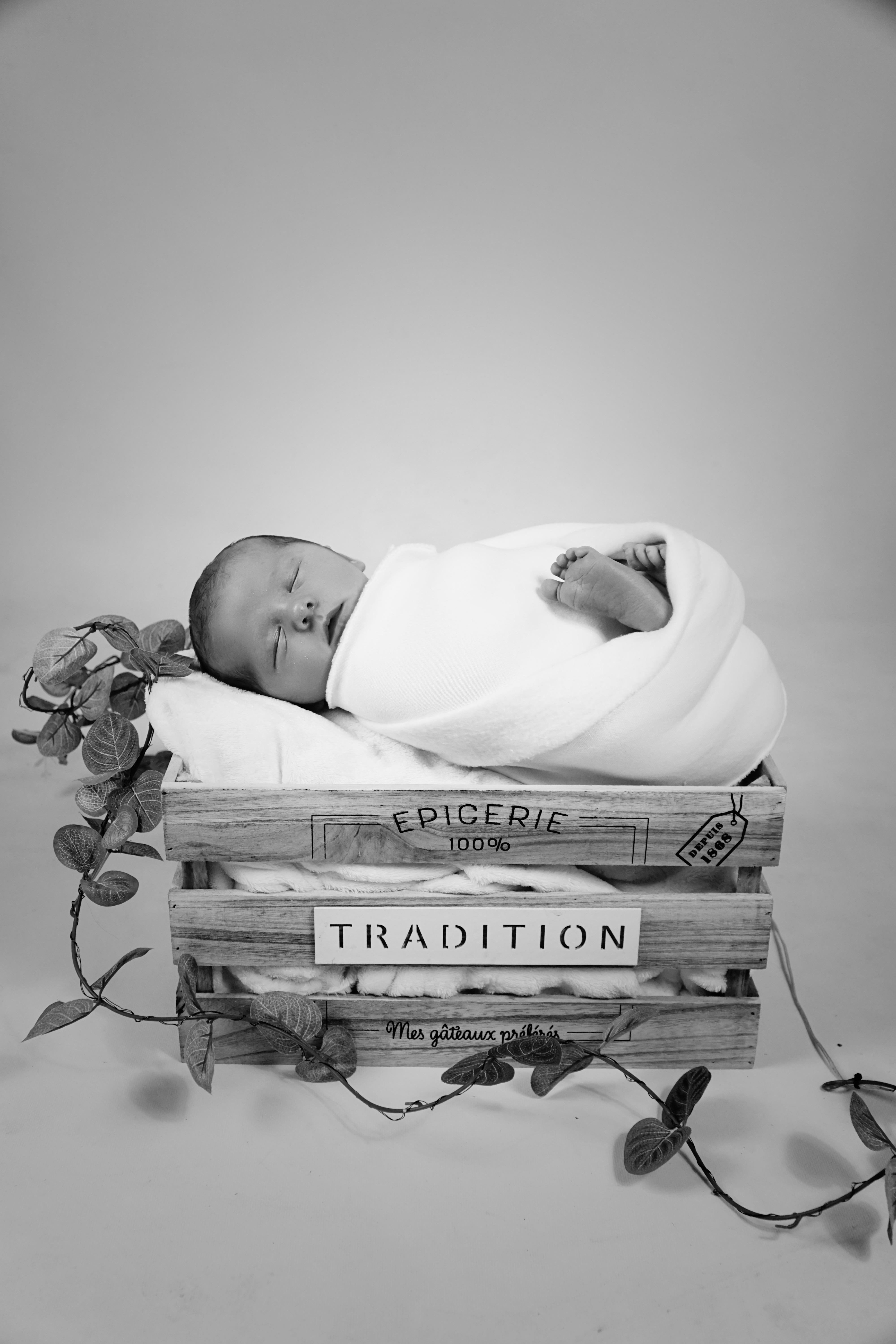 Brian Poletti - Photographe